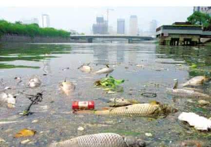 國務院檢查組暗訪核查佛山一農(nóng)村河涌黑臭十余年無人管理