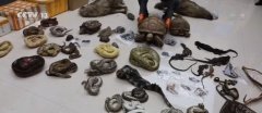 非法收購出售瀕危野生動物7人獲刑西寧環(huán)保驗(yàn)收公司