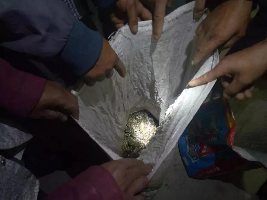  “啥？抓幾個青蛙還犯法？”或許西寧環(huán)保驗收公司