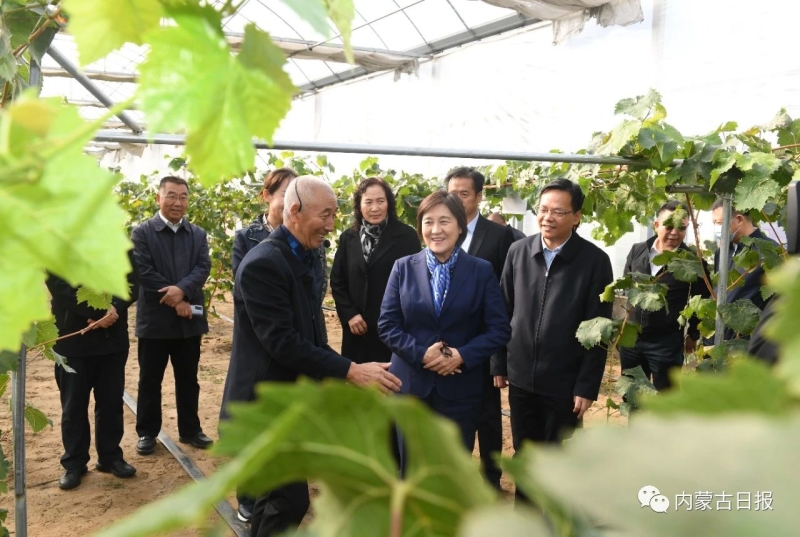 內(nèi)蒙古自治區(qū)主席：全力做好大氣污染聯(lián)防聯(lián)控聯(lián)治工作 確?！八{(lán)天保衛(wèi)戰(zhàn)”圓滿收官青海水土保持代辦公司