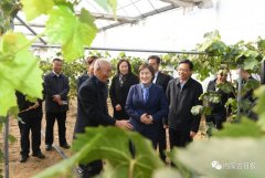 內(nèi)蒙古自治區(qū)主席：全力做好大氣污染聯(lián)防聯(lián)控聯(lián)治工作 確?！八{(lán)天保衛(wèi)戰(zhàn)”圓滿收官青海水土保持代辦公司